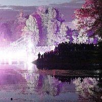 шоу на воде :: Олег Лукьянов