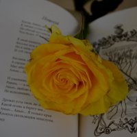 Поцелуй :: Таня Фиалка