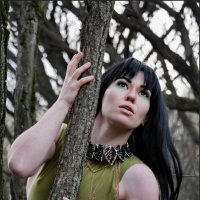 В весеннем лесу :: Наталья Rosenwasser В весеннем лесу :: Наталья Rosenwasser