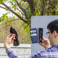 парень окольцевал птицу,сфотографировал и отпустил :: Осень 