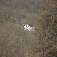 Домик. :: Дмитрий А