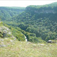 Курчавая Адыгея! :: Надежда 