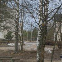 Весна... :: Александр Буторин Весна... :: Александр Буторин