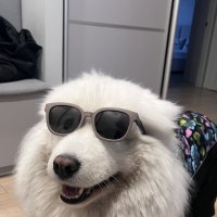 Весенний наряд :: Дмитрий Радионов