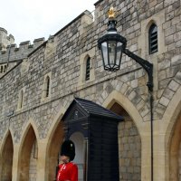 Гвардия Виндзорского замка :: Ольга 