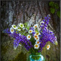 БУКЕТ С ЛЮПИНАМИ И РОМАШКАМИ. :: Александр Дмитриев