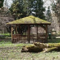 Март, ландшафтный парк, Калининград :: Рита Симонова