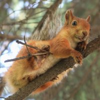 Отдых :: Галина Козлова 