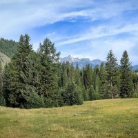 Алтайский пейзаж :: Галина Козлова Алтайский пейзаж :: Галина Козлова