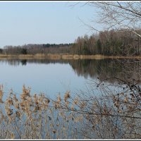 *** :: Aleksandr Gal *** :: Aleksandr Gal