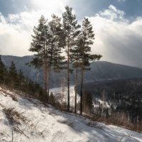 Весенний склон :: Марина Фомина.