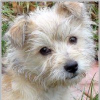 Портрет Тимоши :: Владимир Попов