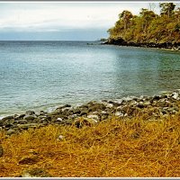 Берег Сан-Томе :: Владимир Попов