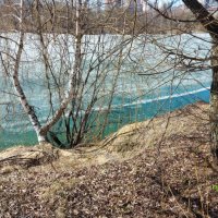 Весна. :: Владимир Безбородов