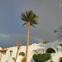 Египет. Шарм-эль-Шейх. Стоит одиноко... :: Ирэн 