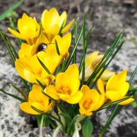 ,,, :: Сергей Тимоновский