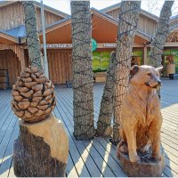 Пёс, который стал одним из символов города Сосновый Бор... :: Лия ☼ Пёс, который стал одним из символов города Сосновый Бор... :: Лия ☼