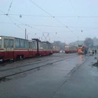 На кольце :: Not Lion