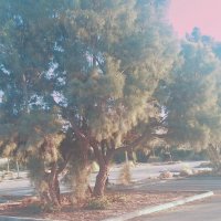 14  КЛОС (70) :: СТРЕН 