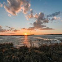 на кочки лёг последний луч :: сергей 