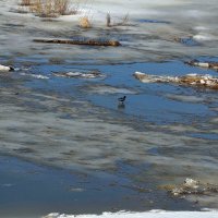 На Оке :: Михаил Столяров