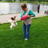 Улыбайтесь, друзья! С 1-м апреля! :: Андрей Лукьянов