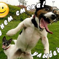 С днём смеха! :: Людмила Смородинская