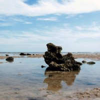 Красное море. Отлив :: Сергей Сомихин