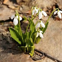 Они всегда интересные :: ZNatasha -