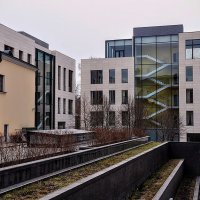 Чистые  линии :: Анатолий Колосов