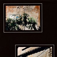 Рим, город и люди - 85 :: Алексей Кузнецов