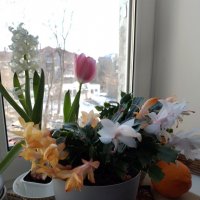 *** :: Валентина Береснева