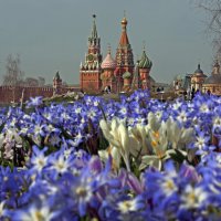 1 апреля в Зарядье :: Михаил Бибичков 1 апреля в Зарядье :: Михаил Бибичков