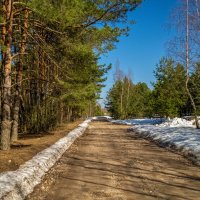 На исходе марта 4 :: Андрей Дворников