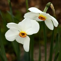 Двое :: Юрий. Шмаков