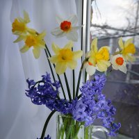 Весенние краски... :: Надежда Куркина 