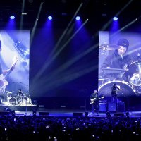 "КИНО" продолжение :: александр донченко