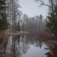 **** :: Елизавета .