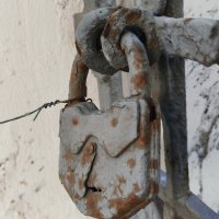 ПРАВО ГОЛОСА :: Юрий Вовк