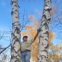 Вижу город ! :: Елена Шаламова