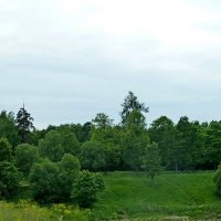 ГАТЧИНА, природа. :: Виктор Осипчук