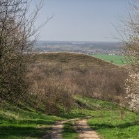 Окрестности города Армавир :: Игорь Сикорский