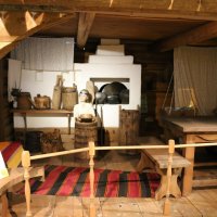 В музее им. Анохина :: Ольга 