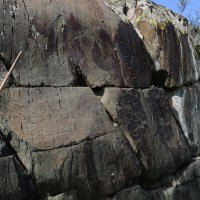 Алтайские петроглифы :: Ольга 