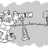 8 :: Владимир Попов