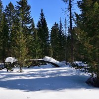 - :: Владимир Мигонькин