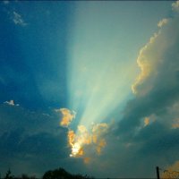 Луч солнца золотого! :: Надежда 