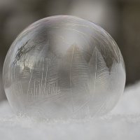 Пузырик :: Андрей Пристяжнюк