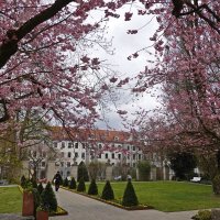 Любимый дворик... :: Галина Любимый дворик... :: Галина