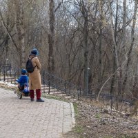 Прогулки в Весеннем Парке :: юрий поляков